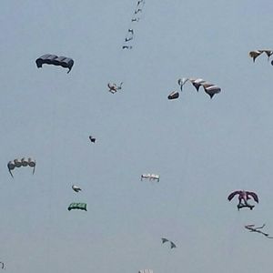 Meet your Posher, Karen